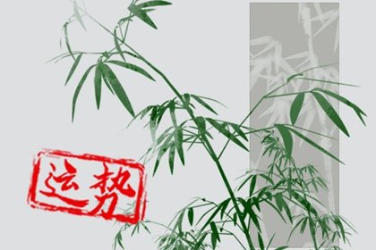 第一运程 2025年1月12日十二生肖运势解析