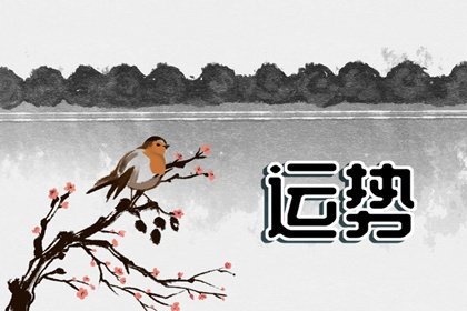 小乖麻 本周运势提醒2024/12/16-12/23