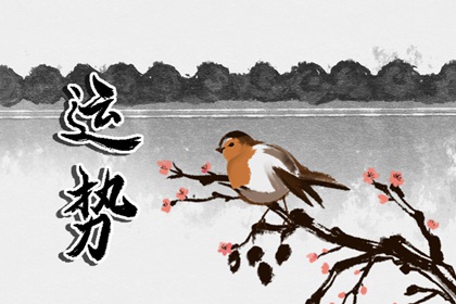 狂月天时 1217每日星座运势