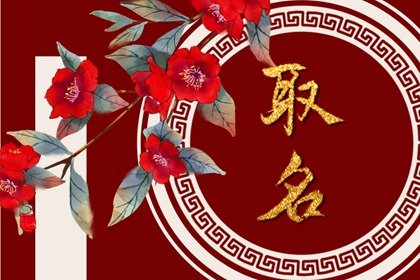 爸爸属鼠妈妈属兔孩子属鼠好不好   都对亲缘关系十分看重