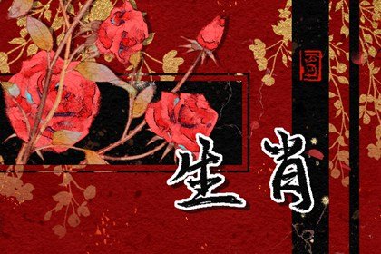 2025九紫离火运最好生肖 最旺运的属相