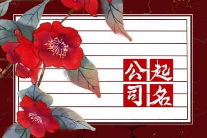 公司起名带【谊】字 含【谊】字聚财的公司名字
