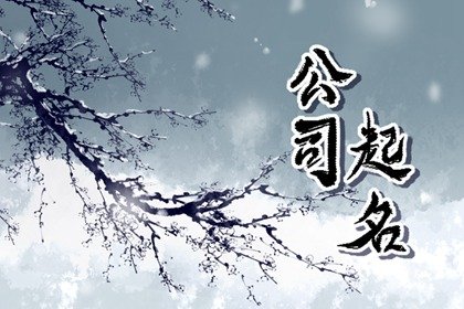 公司起名文雅点的 高大上的公司名字大全