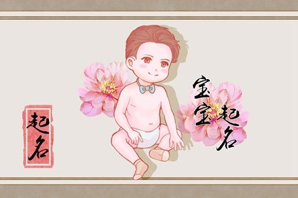 属猪酉时出生的男孩命运 一生丰衣足食