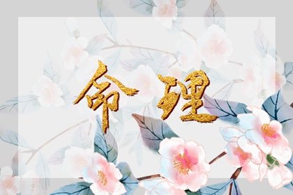 2022年11月9日五行属性 今日五行穿衣搭配查询