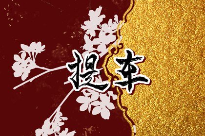2024年6月3日提车日子好不好 提车几点钟最吉利