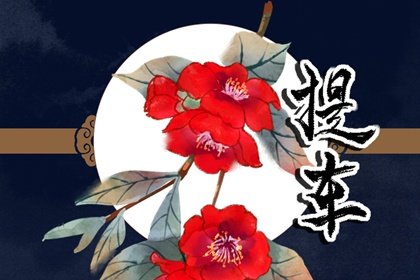 2025年2月26日可以提车吗 可以提新车吗