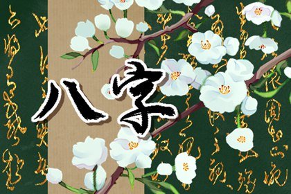 车牌号码尾数为5最好 吉祥车牌号码存在意义