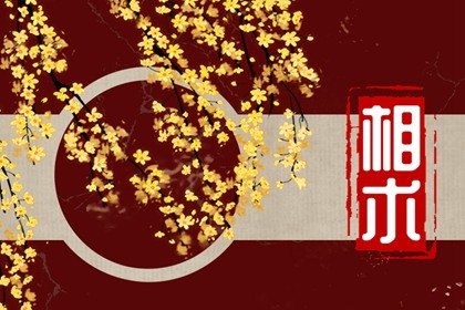 女人左眼跳是祸还是福 多种角度看左眼跳