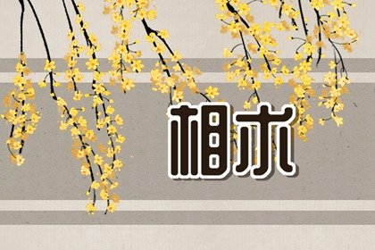 重感情的人的面相 眉毛浓密整齐