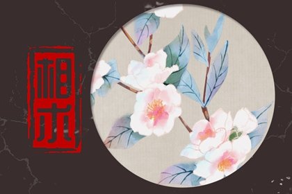 聪明女人面相 耳朵位置高于眉毛