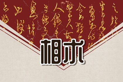 特别有财运面相的特征 生财有道的人面相有什么特征