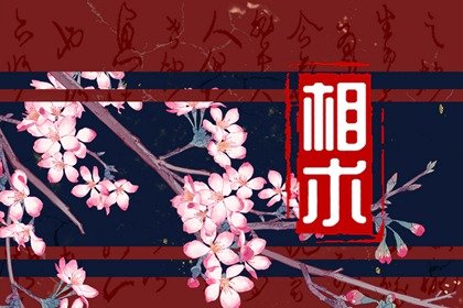 男人有福气的鼻子图片 鼻翼肉易得贵人助