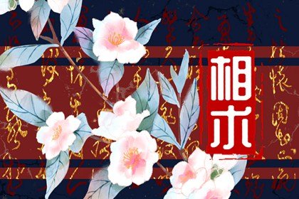 怎样看没感恩之心的面相 什么面相的人最没良心