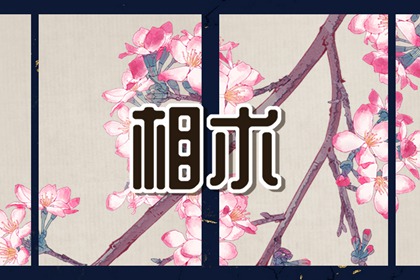 女额头有川字纹意味着什么 做事执着坚定易成功