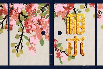 啥面相的人易让人一见钟情 容易令人一见钟情的面相