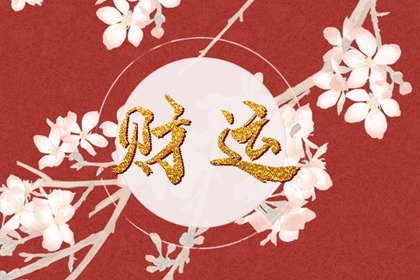 车牌号全是偶数怎么办 车牌号如何排列