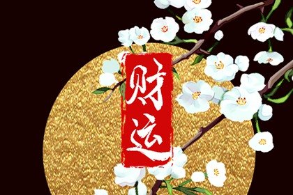 车牌号怎么算总和 吉利的车牌尾数