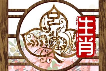 10岁2013年出生的属蛇男命2023年下半年运气如何 运势详解