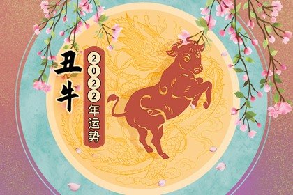 属牛人2022年运势运程大师详解版