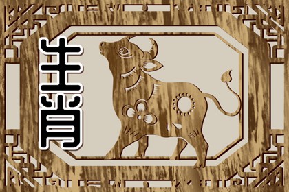 09年的属牛男命2023年运势详解大全 具体分析