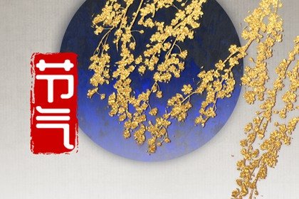 雨水节气特点介绍 降雨很多
