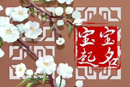 蛇女孩子名字大全 有韵味的女孩名字