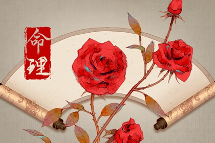 日柱论命60日柱 命运详解