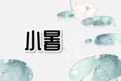 2022年小暑吃什么食物 小暑煲的汤选这些