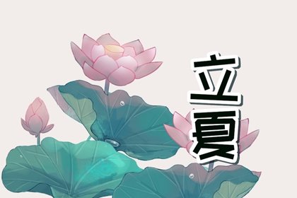 立夏的饺子 饺子祈愿好收成