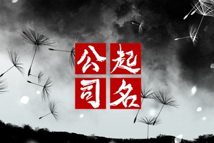 房产公司名字大全参考  字音声调积极向上