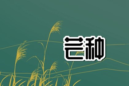 芒种季节的养生食疗 教你做几道养生食谱