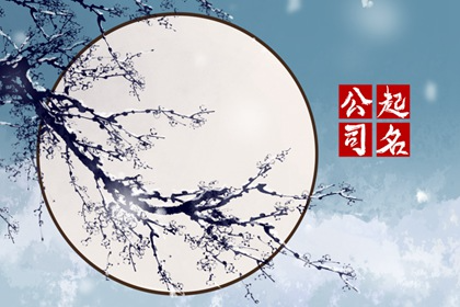 公司起名22