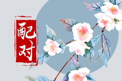 配对49