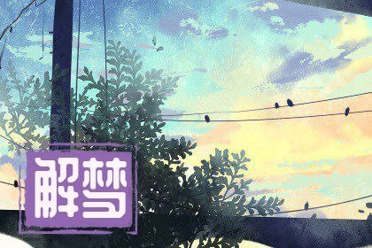 已婚女人梦见摘棉花