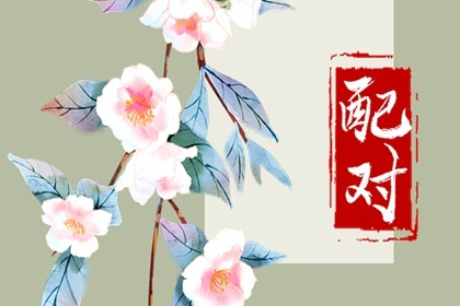 姓名配对超准 姓许的和什么姓不能在一起