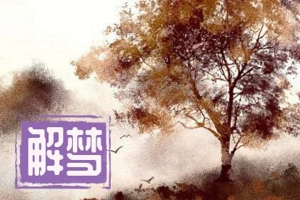 梦见被一个男人宠着保护着