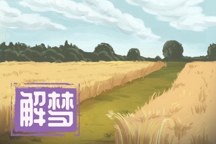 梦见壁虎是什么预兆周公解梦