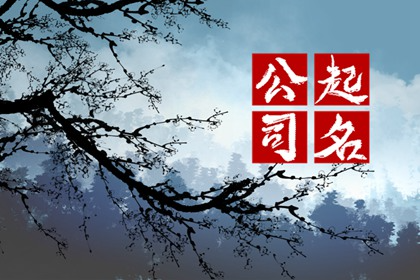 快递公司名称起名大全 服务宗旨很关键