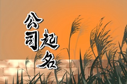 有吉祥寓意的网络公司名字大全 打分案例分享