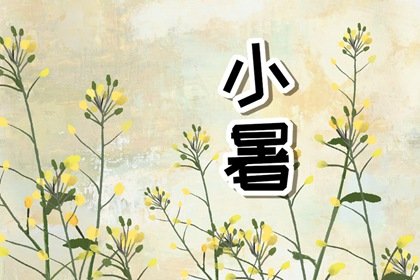 小暑风俗活动:小暑节气的农事活动与物候特征 小暑可以种什么
