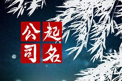 纹眉工作室名字大全  起名要具有韵味
