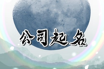 网络公司取什么名字好  起名选择前沿性的字词