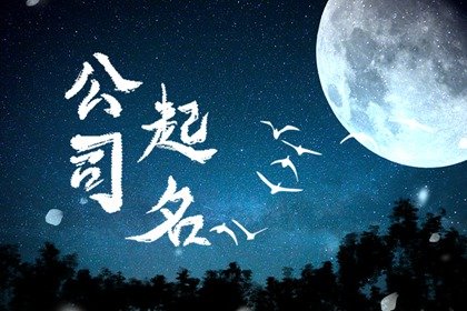 两个字的公司名字霸气  取名不能使用发音拗口的字
