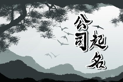 有创意的影视公司名字大全 有诗意的文化传媒公司名字