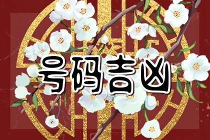 大凶手机号码优缺点??如何选择旺财转运的手机号