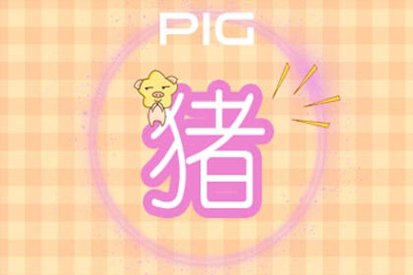 属猪男配对姻缘表 属猪男婚姻最佳配偶