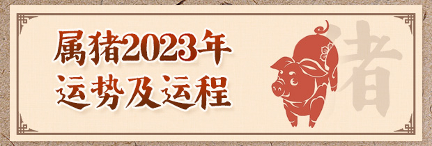 属猪人2024年运势