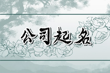 照明公司起名 好听的照明公司名字