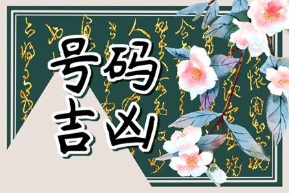 手机号数字组合风水代表的含义  富贵荣华的领导号码推荐